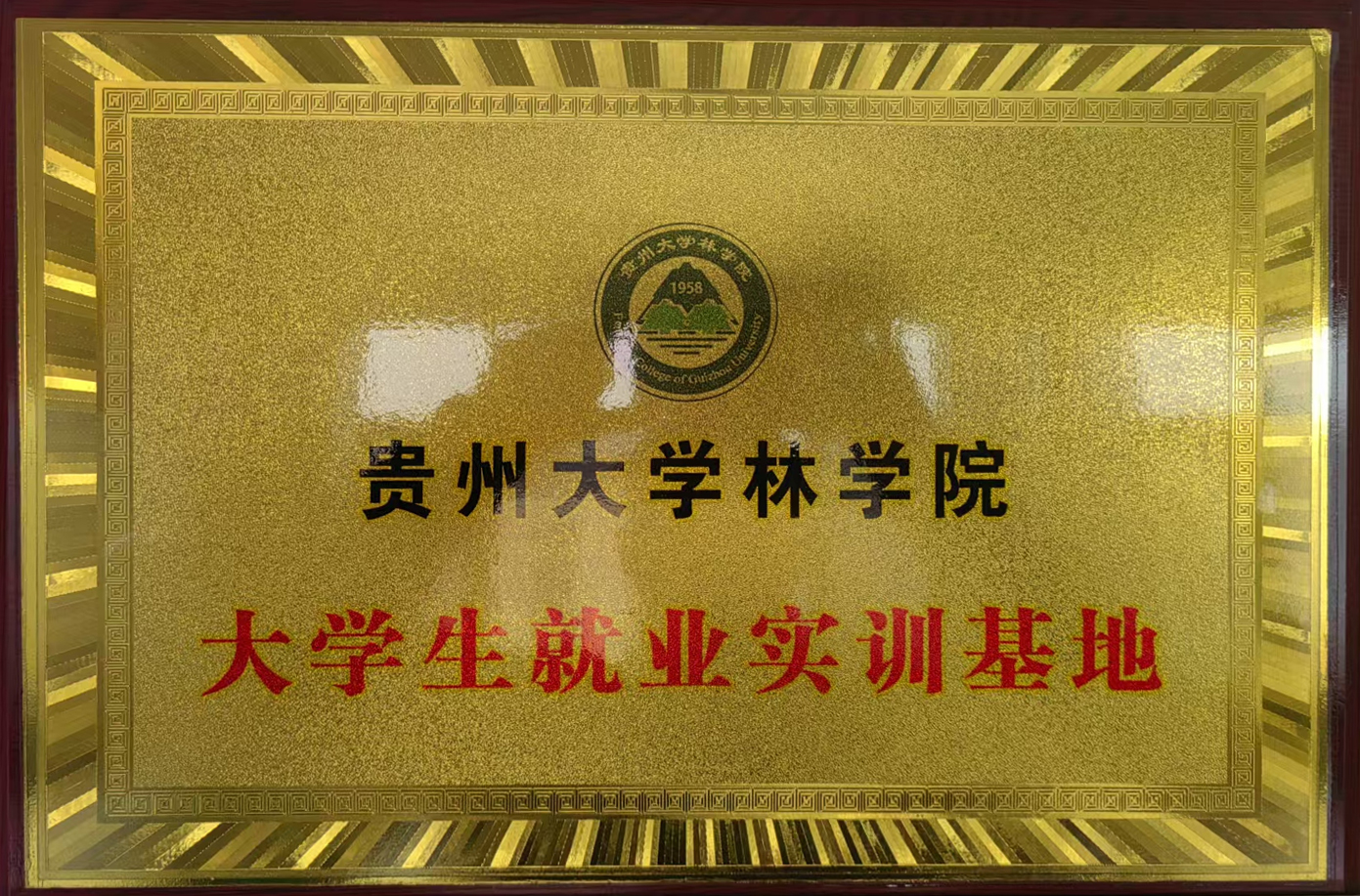 貴州大學林學院大學生就業實訓基地